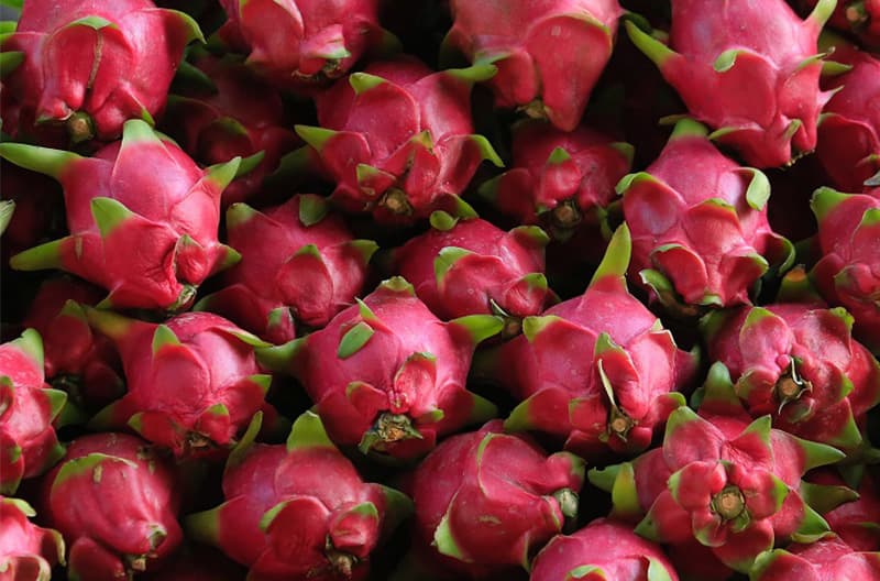 images/1681456247885dragon fruit sorter.jpg